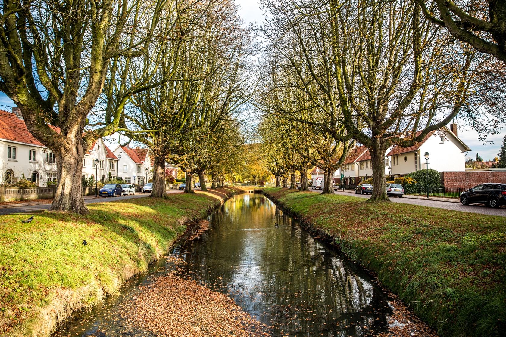 Beeld van Tuindorp in Twente